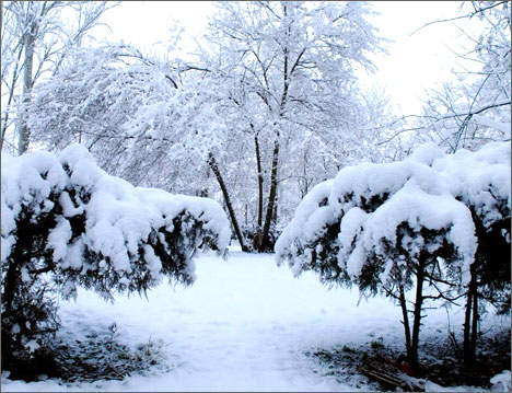Зима в Ташкенте