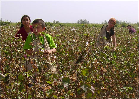 Дети на хлопковых полях Наманганской области Узбекистана
