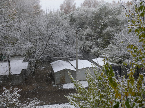 Снег в Ташкенте, 10 ноября 2008 г.