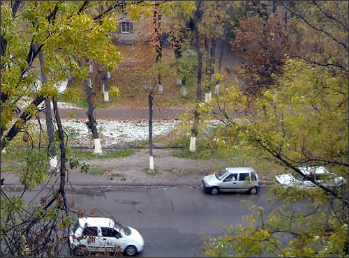 Снег в Ташкенте, 10 ноября 2008 г.
