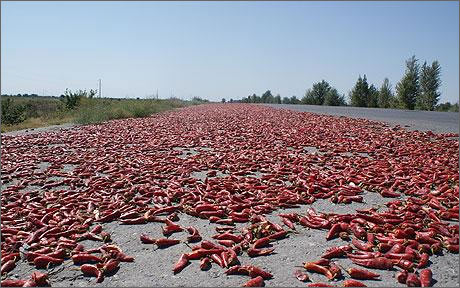 Так на дорогах Ферганской долины сушат красный жгучий перец