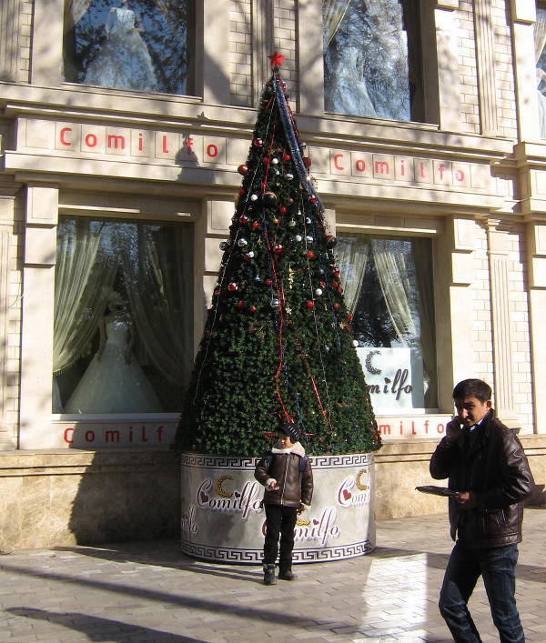 Отныне елки в Узбекистане разрешено устанавливать только на улицах