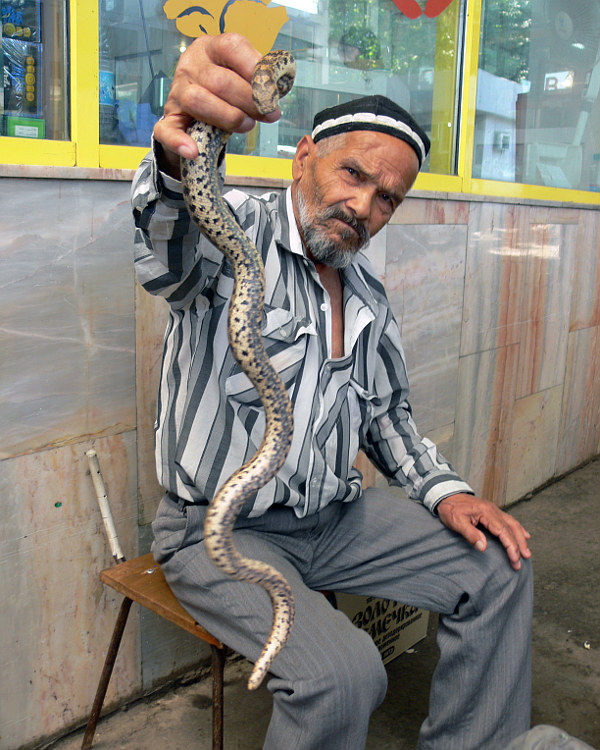 Змеи на ташкентском базаре