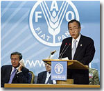«Голодный» саммит ООН: Нуждающимся в продовольствии странам будет выделено около $3 млрд.
