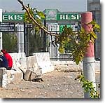 Виза – не документ? Пограничники Узбекистана препятствуют таджикистанцам во въезде в страну