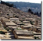 В Иерусалиме восстанавливают старинное кладбище бухарских евреев