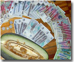 Узбекистан: Доллары у государства могут купить только силовики, чиновники и бандиты