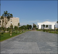 Узбекистан: Газета «Зеркало XXI» разъяснила, почему в Ташкенте вырубают старые деревья