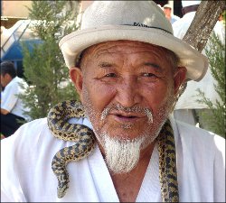 Узбекистан: Змеи и ежи – как альтернатива традиционной медицине?