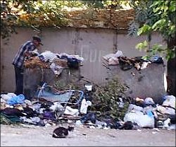 Всенародные субботники и вечные мусорки Ташкента: Одно другому не мешает (фото)