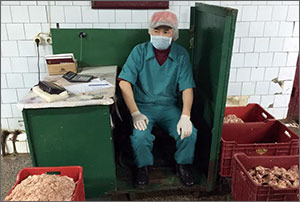 Кыргызстан: «Ослиный скандал» обнажил изъяны колбасных цехов Бишкека