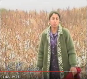 Земельный рэкет в Узбекистане: Как разорить успешное хозяйство и уничтожить 50 тонн хлопка
