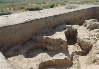 Археологи достали. В Узбекистане государство раскошелится на раскопки