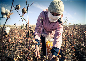 Бойся милостей из Москвы. Почему в хлопковом хозяйстве Узбекистана победил детский труд