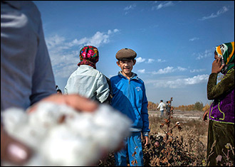 Снова осень, за окнами — хлопок. В Туркмении начались «бои без правил» за урожай