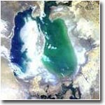 Германский проект по созданию леса на осушенном дне Аральского моря продлен еще на 10 лет