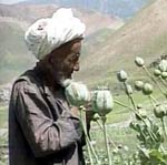 По мнению канадского профессора, США контролируют поставки наркотиков из Афганистана