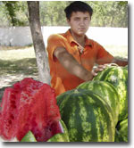 На рынках Ташкента на месяц раньше обычного появились арбузы