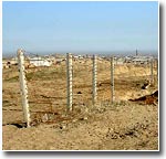 «У разбитого корыта»: от дачных поселков на узбекско-казахской границе остались лишь пустыри